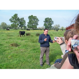 Les Délices Du Scamandre