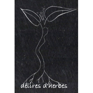 Délires D'herbes