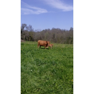 Ferme Jean De Hourticq