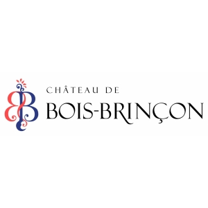 Chateau De Bois-brincon