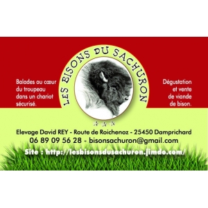 Les Bisons Du Sachuron