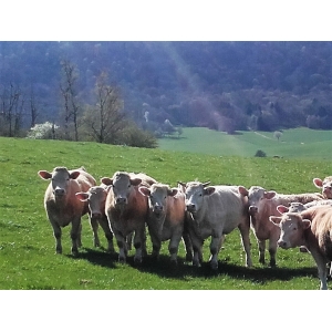 Ferme  Des "granges Rouges"