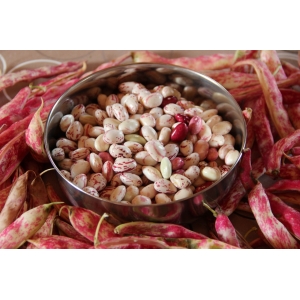 Le Jardin Des Traverseines (gaec)