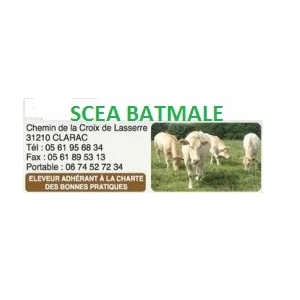 Scea Batmale