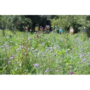 Le Rucher De La Bouvrie