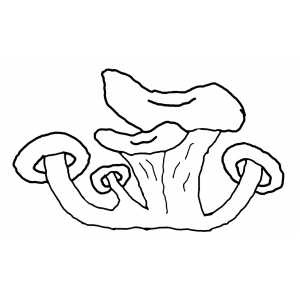 Champimignon Earl Depretto