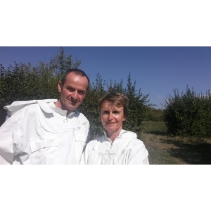 Le Rucher De La Reine Louise