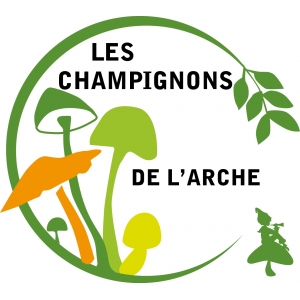 Les Champignons De L'arche