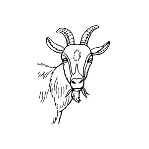 Earl Moreau Frédéric & Katia