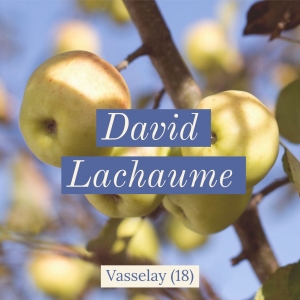 Lachaume David