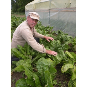 Les Jardins Du Basmont