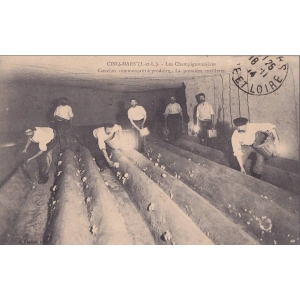 La Cave Des Figuiers