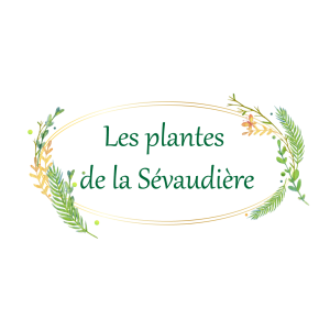 Les Plantes De La Sévaudière