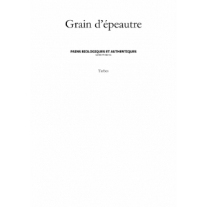 Grain D'épeautre