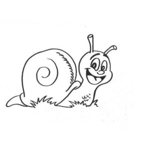 L'escargot de la double écluse