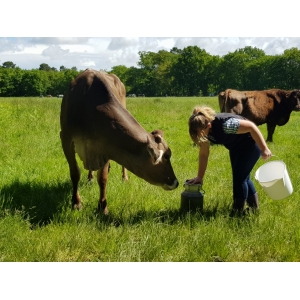 Gaec Du Baren De La Matte