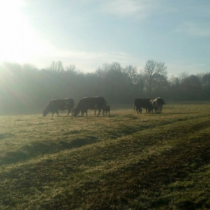 Ferme De La Grangerie