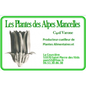 Les Plantes Des Alpes Mancelles