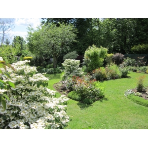 Pepinieres Blanchais  Ferme Aux Roses