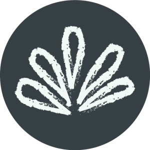 Raconte Moi Un Savon