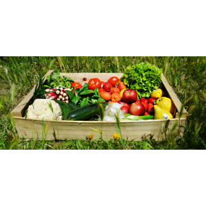 Les Jardins D'antérioux