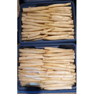 Asperges De Fouchères