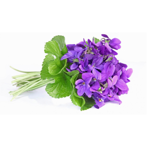 Le Fournil De Violette 