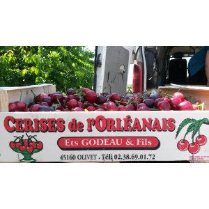 EARL les vergers de Lanviers