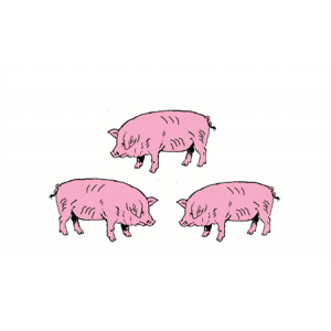 Sarl Des Trois Petits Cochons