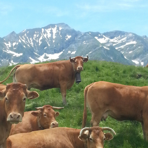 La Ferme Du Lac D'estaing