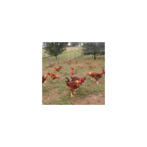 La Ferme Des Trois Poucets