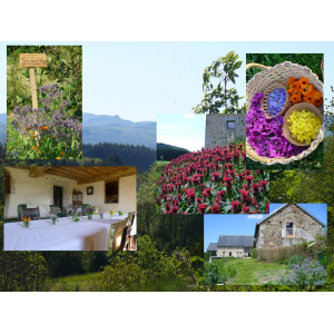 Ateliers De La Grange