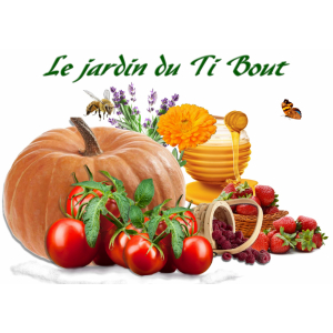 Le Jardin Du Ti Bout