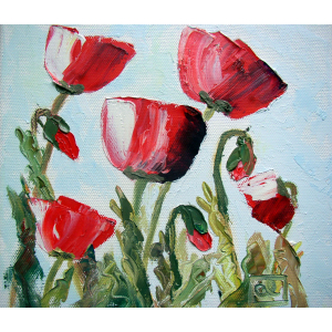 Les Couleurs De Carine