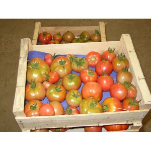 Les maraîchers du Val d'Amour