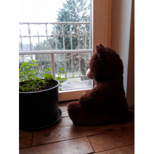 Julien Chassagne - Miel