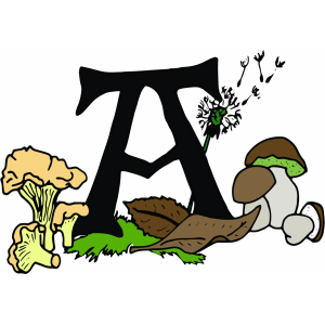 Les Récoltes D' Amaia