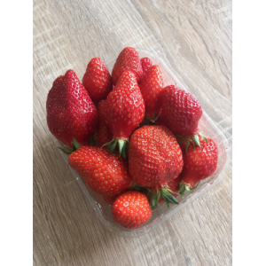 Les Jardins Des Combarelles