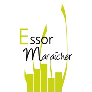 Brebis - Essor Maraîcher