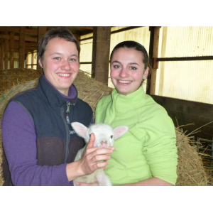 Ferme De La Belinette