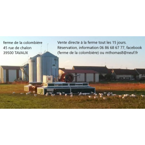 Earl De La Colombière