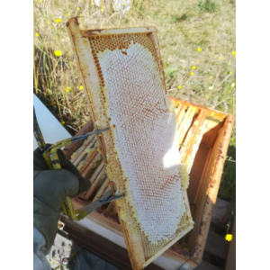 Jo & Raf Fondrevert Apiculture