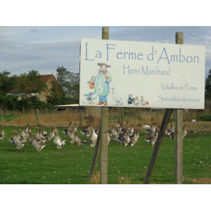 La Ferme D'ambon