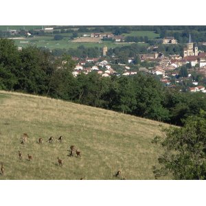 La ferme de l'Apicerf