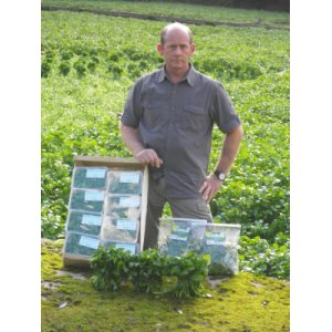 Cressonnière Bec De Mortagne