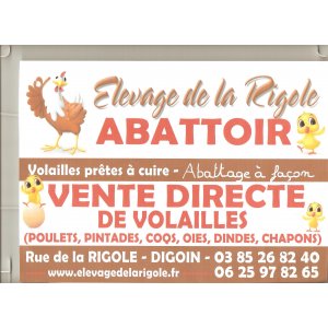 ELEVAGE DE LA RIGOLE