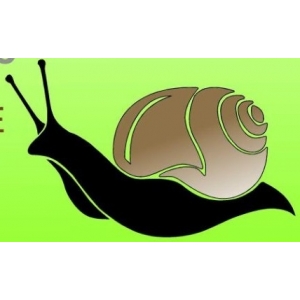 Mille Et Une Coquilles