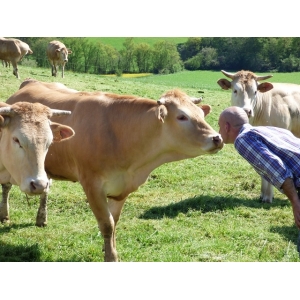 Earl Sébastien Esquerre