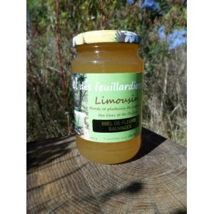 Miels Limousins D'abeilles Noires