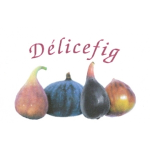 Delicefig Scea